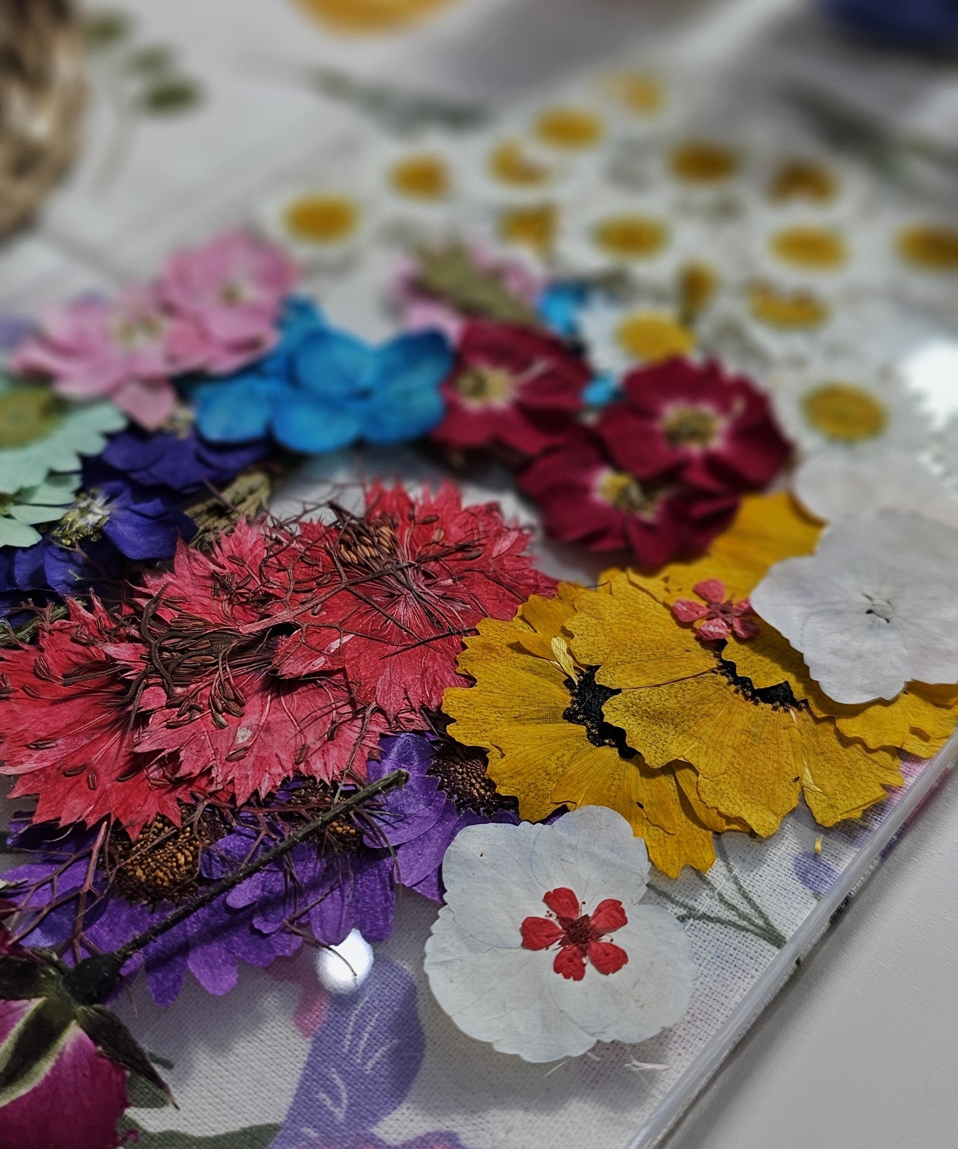 Colección "Alma prensada"