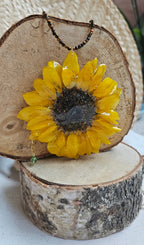 Fuego de Girasol.