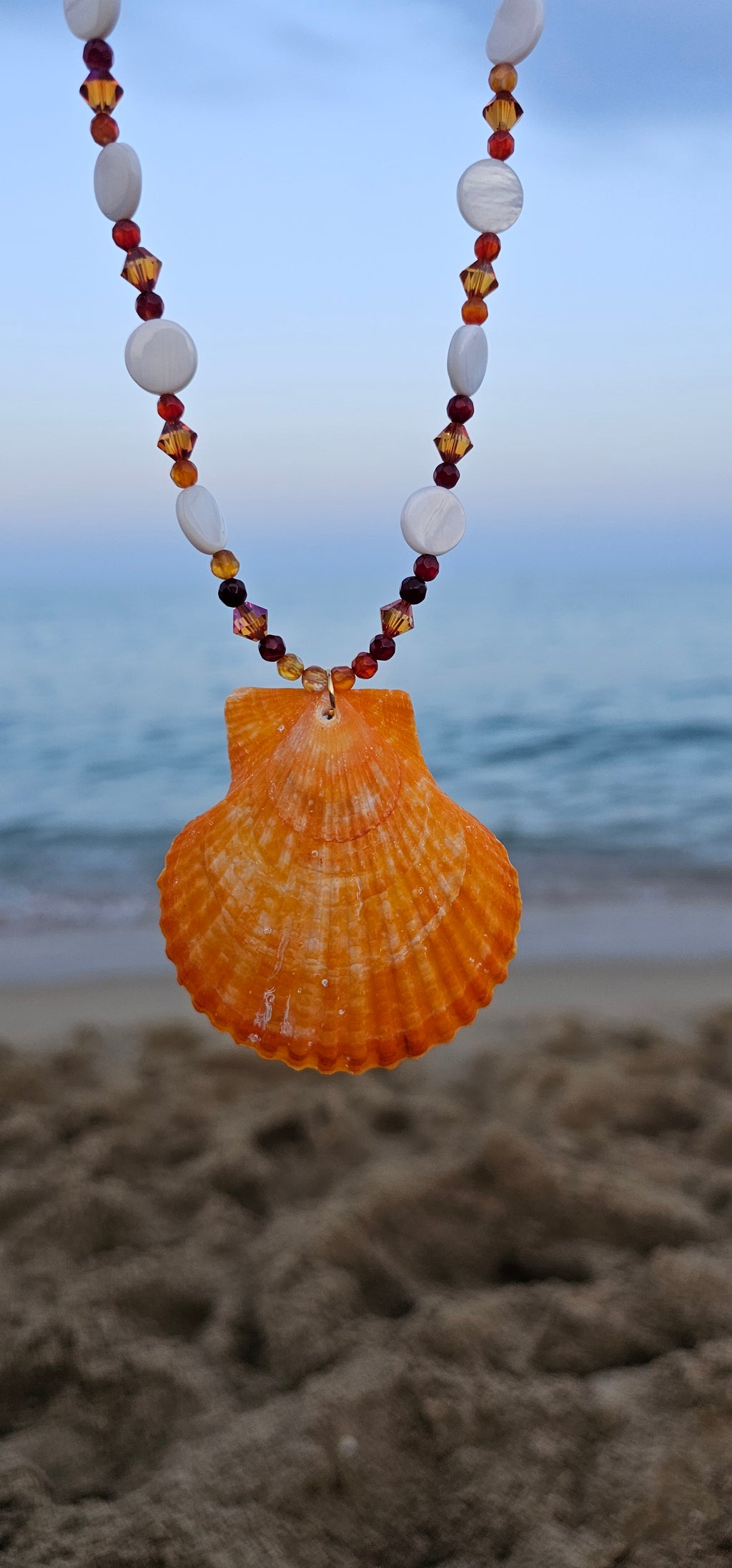 Coral encantado.