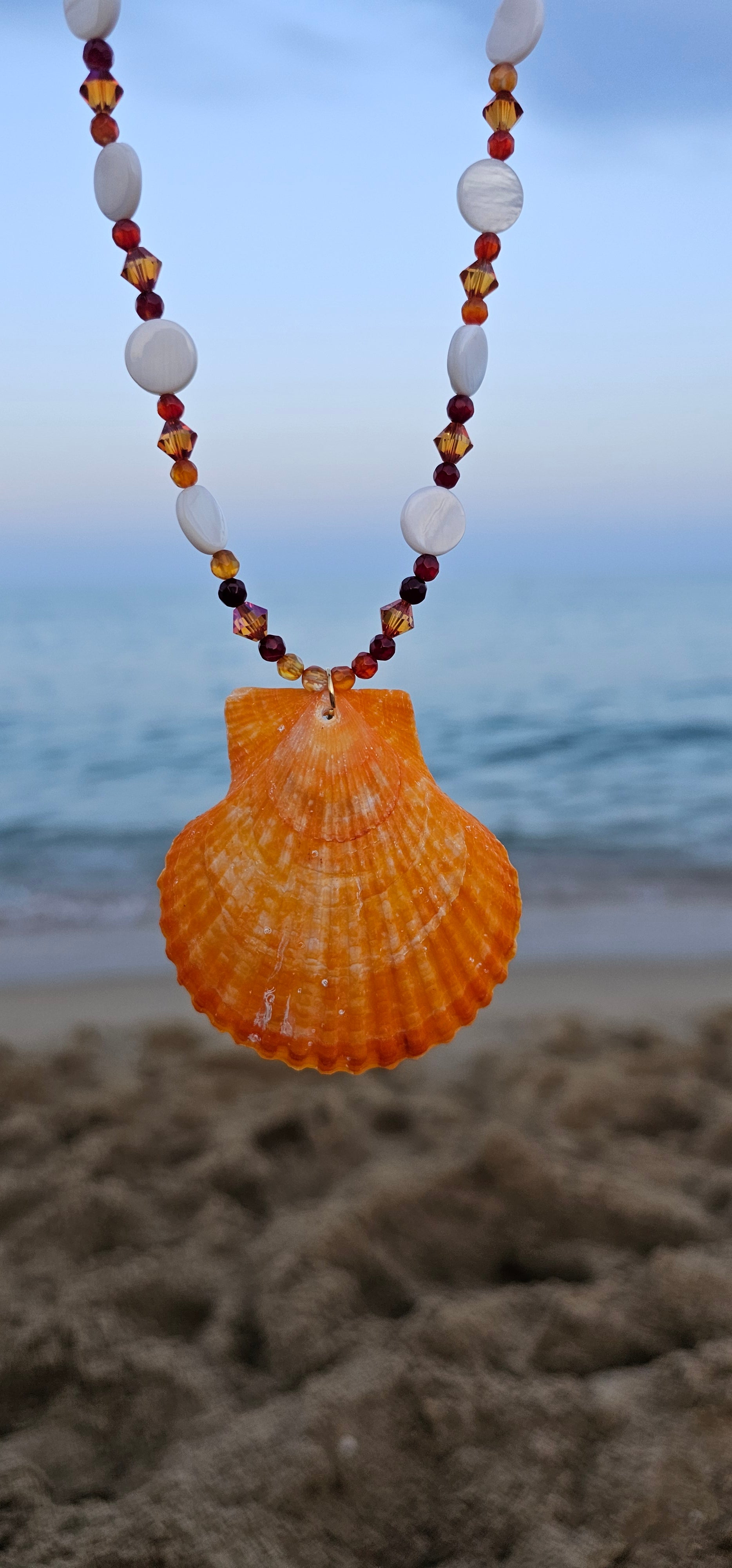 Coral encantado.