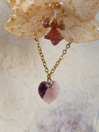 Orquídea Eterna.