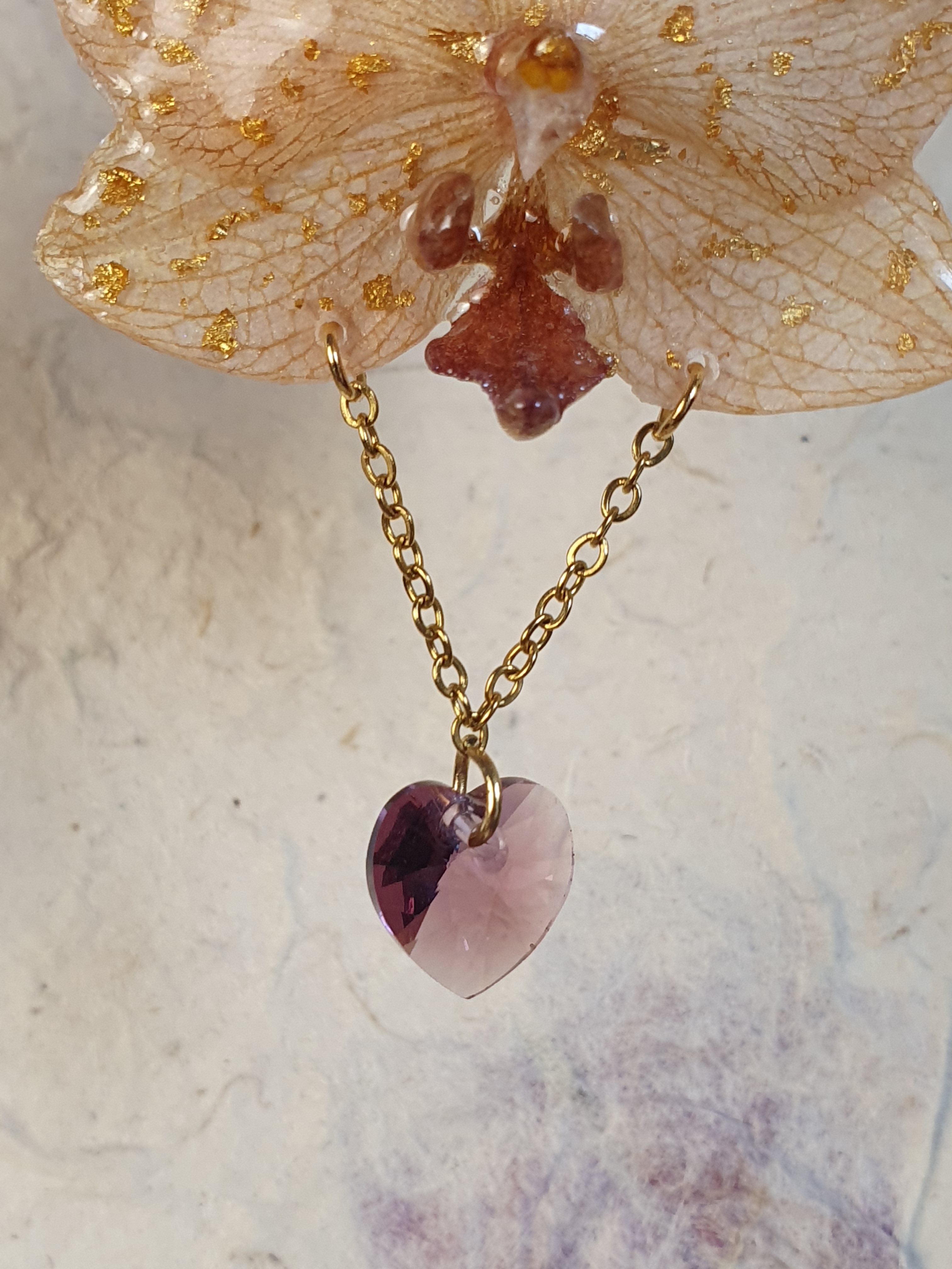 Orquídea Eterna.