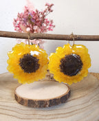 Sol Girasol.