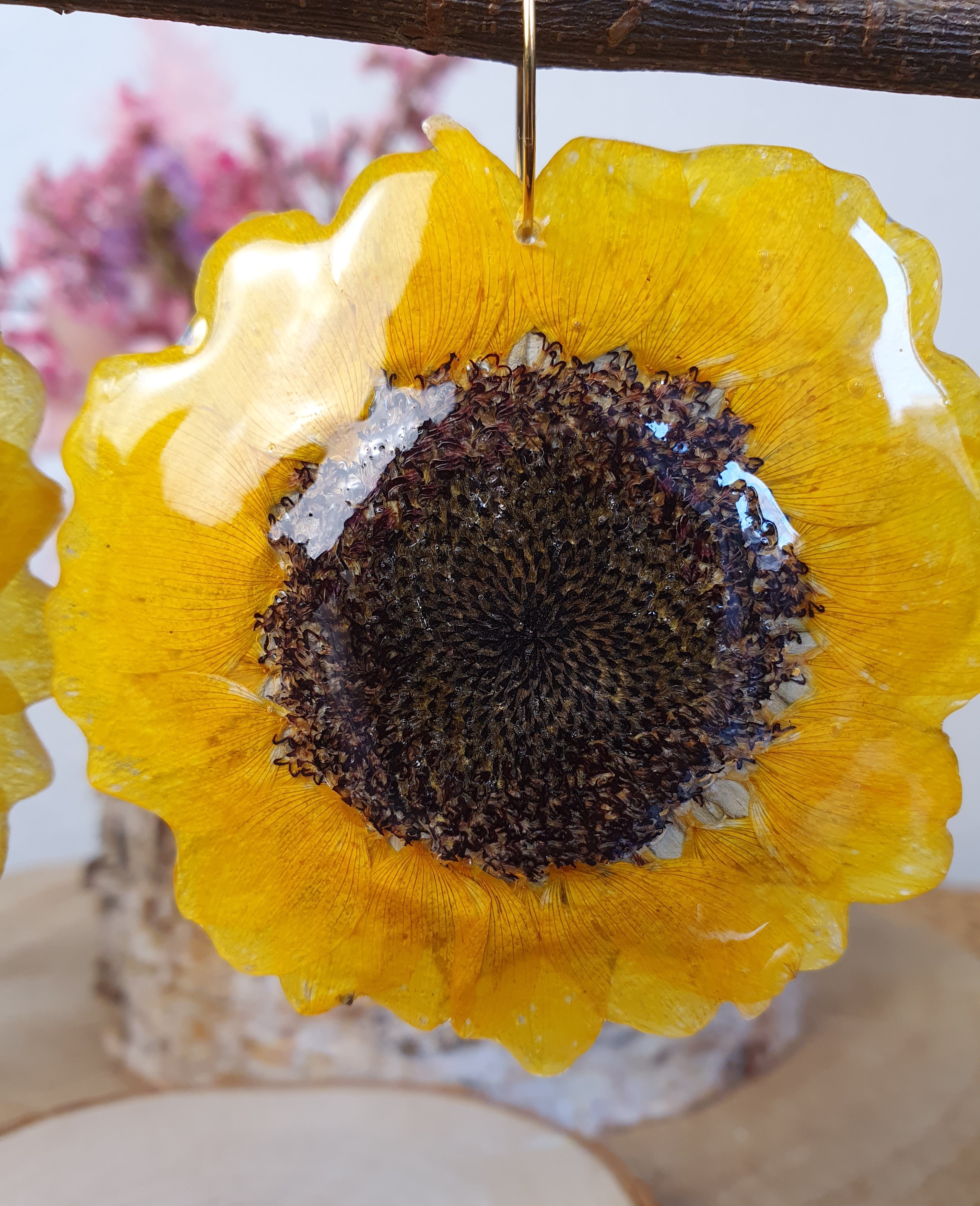 Sol Girasol.