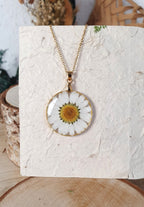 Margarita blanca.