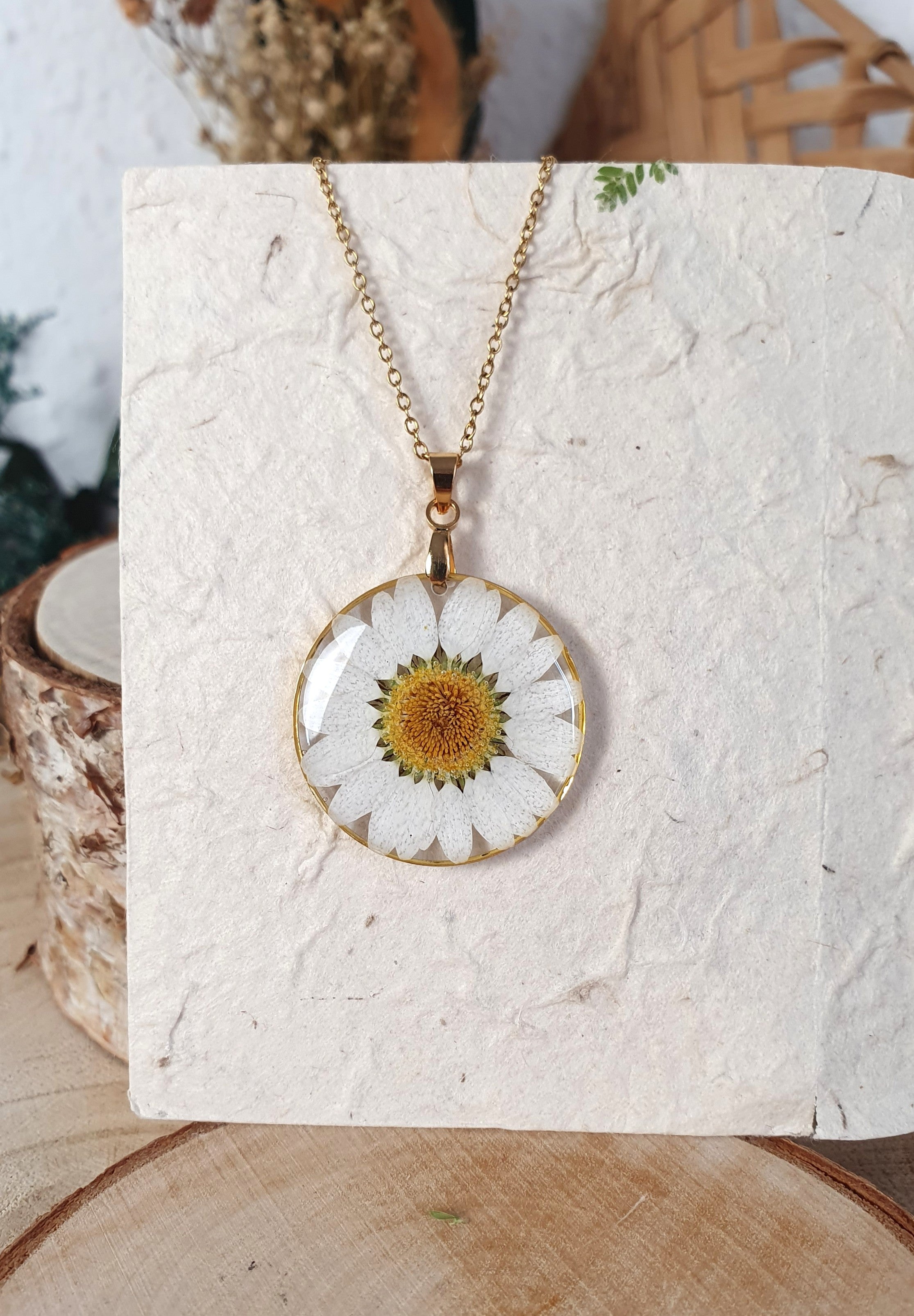 Margarita blanca.
