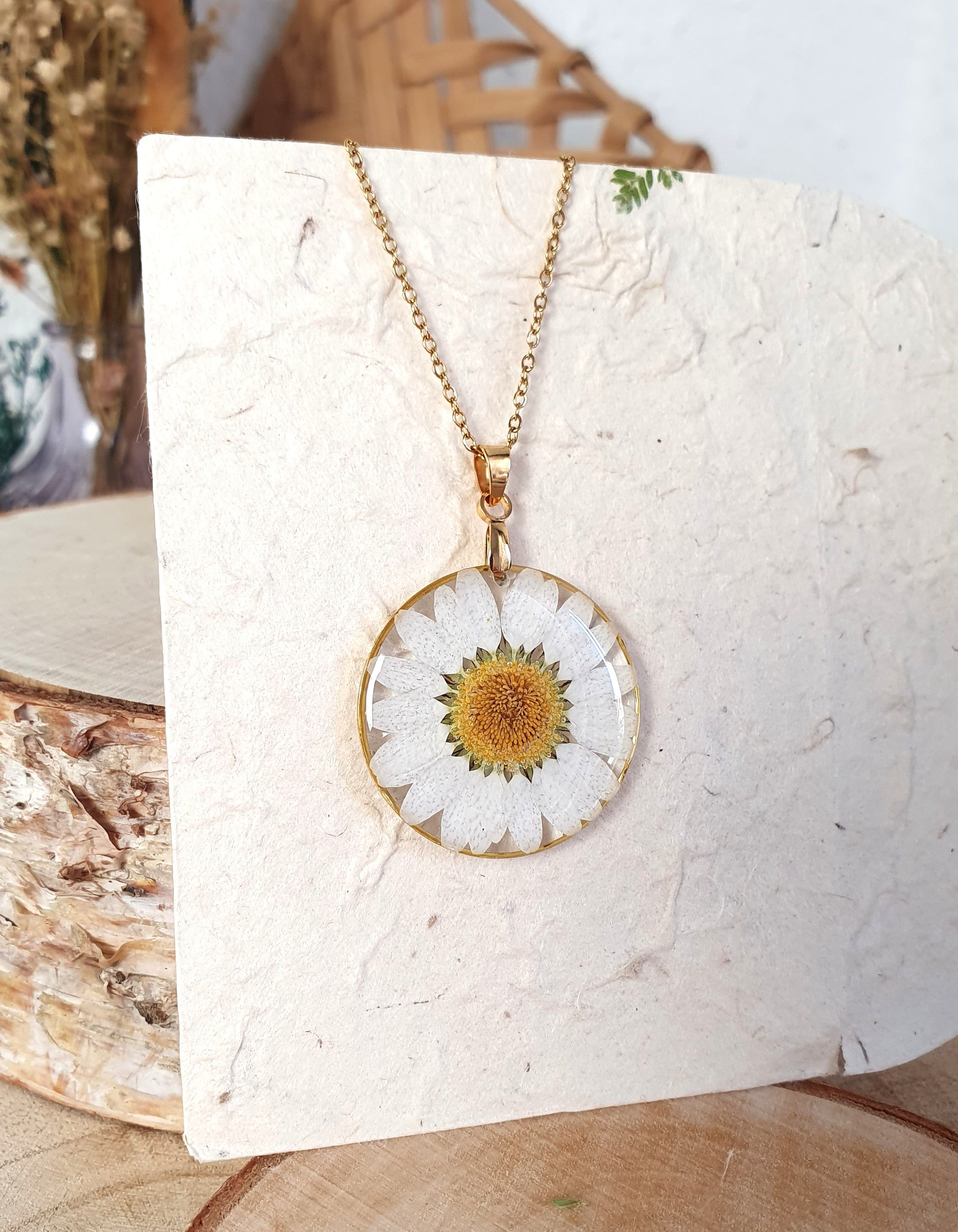 Margarita blanca.