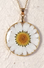 Margarita blanca.