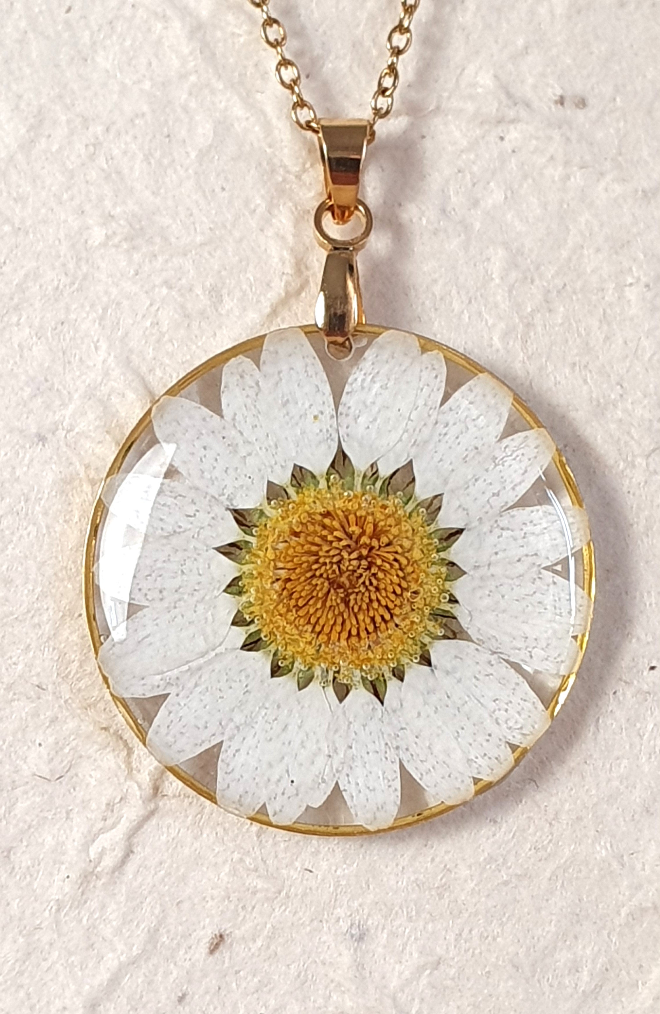 Margarita blanca.