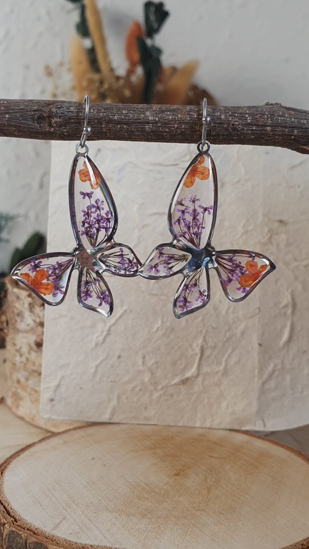Mariposa Bella.