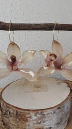 Pendientes Natural.